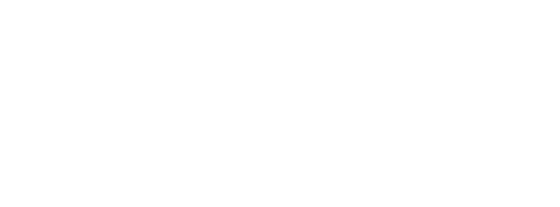 zappi logo