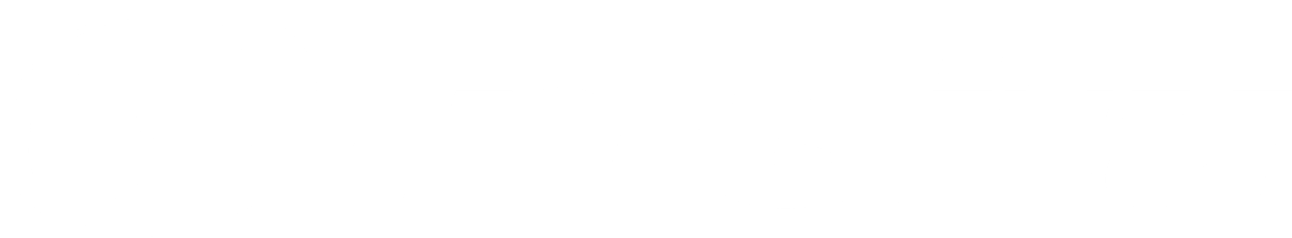 insitu-logo_white insitu-logo_white